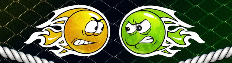 International MMA league